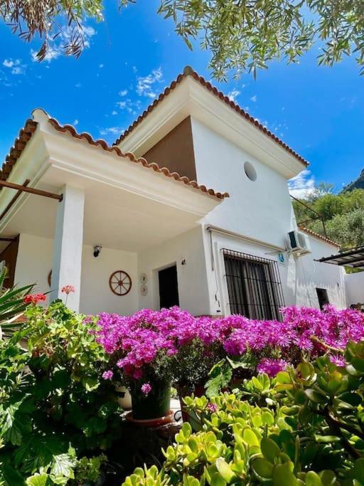 הוילה אל גסטור Casa La Roca מראה חיצוני תמונה